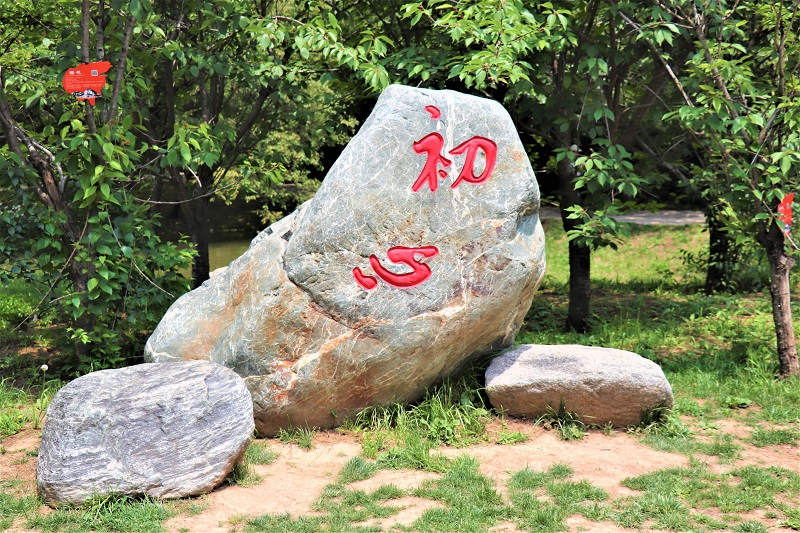 ׌tɫ񼤄T(chung)?lin)?dng)О